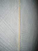 tullamore court 1202.jpg